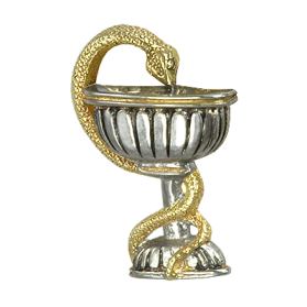 Значок Чаша со змеей