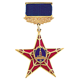Медаль Девятичи